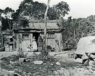 Miner's Hut, Lithgow Valley NSW, c1880 | by Blue Mountains Local Studies